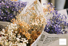 画像をギャラリービューアに読み込む, Minolta α SweetII【完動品】標準&望遠ズームレンズ付き❗️状態◎