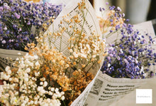 画像をギャラリービューアに読み込む, Yes!Star 200 or 400 カラーネガフィルム 36枚撮り 【期限内/海外フィルム✈️】