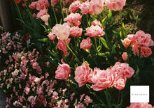 画像をギャラリービューアに読み込む, OLYMPUS PEN EE-3 水色の世界🛁🌐【完動品】【美品❗️】