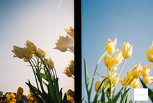 Load image into Gallery viewer, OLYMPUS PEN EE 星空💫🪼【完動品】