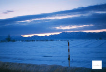 画像をギャラリービューアに読み込む, Nikon FM(BK)【完動品】【希少】状態◎ 明るい単焦点レンズ付き❗️