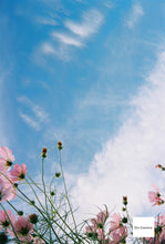 画像をギャラリービューアに読み込む, FUJIFILM NATURA NS|抹茶グリーンカスタム🍵【完動品】毛糸ポーチ付き🧶軽量コンパクトな高感度フィルムカメラ📷✨