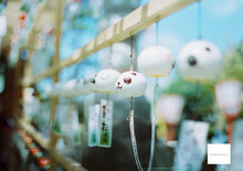 Load image into Gallery viewer, CONTAX Carl Zeiss 50mmF1.4MMJ【完動品】Aria、S2などに!