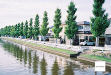 画像をギャラリービューアに読み込む, FUJIFILM NATURA NS|抹茶グリーンカスタム🍵【完動品】毛糸ポーチ付き🧶軽量コンパクトな高感度フィルムカメラ📷✨