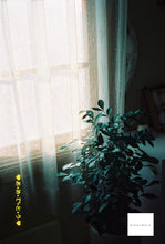 画像をギャラリービューアに読み込む, Canon Autoboy Luna【完動品】