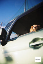 画像をギャラリービューアに読み込む, Blackbird fly ブルー【完動品】【実写済み❗️】【フルセット✨】