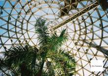 画像をギャラリービューアに読み込む, Canon Autoboy120【完動品】パンダカラー🐼