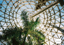 Load image into Gallery viewer, Canon Autoboy Epo【完動品】全自動フルオートコンパクトフィルムカメラ📸🎞️