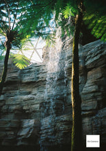 画像をギャラリービューアに読み込む, Canon Autoboy Epo【完動品】全自動フルオートコンパクトフィルムカメラ📸🎞️