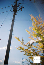 画像をギャラリービューアに読み込む, Blackbird fly ブルー【完動品】【実写済み❗️】【フルセット✨】