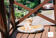 画像をギャラリービューアに読み込む, PENTAX ESPIO70-E【完動品】状態◎