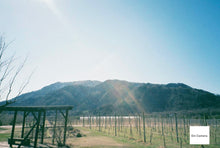 画像をギャラリービューアに読み込む, FUJIFILM NATURA CLASSICA【完動品】【美品✨】貴重❗️Re:Standard Special Package本革ケース&ストラップ付き❗️