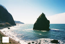 画像をギャラリービューアに読み込む, FUJIFILM NATURA CLASSICA【完動品】【美品✨】