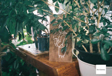 画像をギャラリービューアに読み込む, FUJIFILM NATURA NS|抹茶グリーンカスタム🍵【完動品】毛糸ポーチ付き🧶軽量コンパクトな高感度フィルムカメラ📷✨