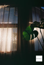 画像をギャラリービューアに読み込む, Blackbird fly ブルー【完動品】【実写済み❗️】【フルセット✨】