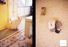 画像をギャラリービューアに読み込む, Minolta repo(BK)【完動品】【希少❗️】状態◎ハーフカメラ