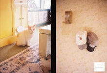 画像をギャラリービューアに読み込む, Minolta Repo-S ラズベリーブルー🫐【完動品/希少✨】描写力抜群のレアなハーフカメラ