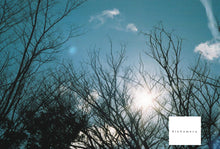 画像をギャラリービューアに読み込む, Nikon Lite・touch Zoom120ED【完動品】全自動コンパクトフィルムカメラ