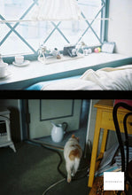 画像をギャラリービューアに読み込む, Minolta Repo(BK)【完動品】状態◎ハーフカメラ