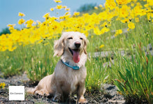 画像をギャラリービューアに読み込む, 📸 Canon EOS Kiss 5 本格一眼デビューにもぴったり!全自動の簡単一眼レフ✨