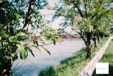 Load image into Gallery viewer, 📸 Pentax ESPIO 115M|初心者さん安心の全自動フィルムカメラ✨