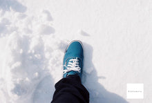 画像をギャラリービューアに読み込む, Canon 旧F-1 & FD50mmF1.4s.s.c【完動品】