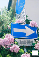 画像をギャラリービューアに読み込む, OLYMPUS PEN F 珍しい赤文字の花柄【完動品】【希少】一眼レフハーフカメラ