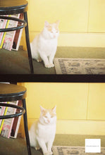 画像をギャラリービューアに読み込む, KYOCERA SAMURAI X3.0【完動品】