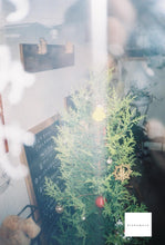 画像をギャラリービューアに読み込む, Minolta Prod20's【完動品】