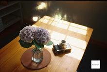 画像をギャラリービューアに読み込む, Praktiflex FX & Carl Zeiss Jena Tessar 50mm F2.8|希少❗️上から覗くウエストレベル一眼レフ✨【完動品】