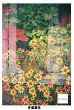 画像をギャラリービューアに読み込む, Blackbird fly ブルー【完動品】【実写済み❗️】【フルセット✨】