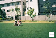 画像をギャラリービューアに読み込む, Minolta Hi-Matic F【完動品】