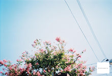 Load image into Gallery viewer, 📸 Pentax ESPIO 115M|初心者さん安心の全自動フィルムカメラ✨