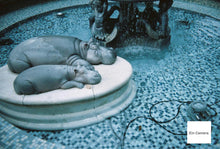 画像をギャラリービューアに読み込む, FUJIFILM CLEAR SHOT u【完動品】【実写済み❗️】