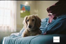 画像をギャラリービューアに読み込む, EXAKTA VAREX llb【完動品】カールツァイスレンズ付き❗️