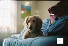 画像をギャラリービューアに読み込む, Praktiflex FX & Carl Zeiss Jena Tessar 50mm F2.8|希少❗️上から覗くウエストレベル一眼レフ✨【完動品】