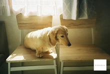 画像をギャラリービューアに読み込む, LOMO LC-A【完動品】【美品✨】