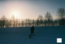 Load image into Gallery viewer, YASHICA FX-3 SUPER 2000【完動品】【希少❗️】CONTAX45mmF2.8MMJレンズ付き❗️