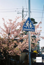 画像をギャラリービューアに読み込む, OLYMPUS SUPER ZOOM160G【完動品】