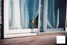 画像をギャラリービューアに読み込む, Konica 現場監督 28WB ECO【未使用品】【完動品】