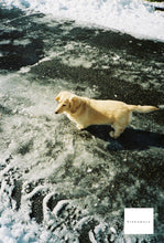 画像をギャラリービューアに読み込む, Konica C35EF【完動品】状態◎