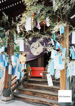 画像をギャラリービューアに読み込む, Leica AF-C1【完動品】