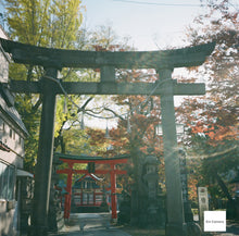 画像をギャラリービューアに読み込む, ROLLEIFLEX Automat【完動品】【実写済み❗️】状態◎ 中判カメラ