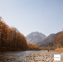 画像をギャラリービューアに読み込む, Minolta AUTOCORD-III ミノルタ オートコードIII型 【完動品】状態◎ 中判カメラ