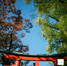 画像をギャラリービューアに読み込む, ROLLEIFLEX Automat【完動品】【実写済み❗️】状態◎ 中判カメラ