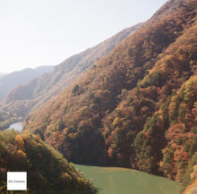 画像をギャラリービューアに読み込む, Minolta AUTOCORD-III ミノルタ オートコードIII型 【完動品】【美品✨】【実写済み❗️】