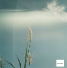 画像をギャラリービューアに読み込む, PENTACON six TL【現状品】【実写済み❗️】中判カメラ