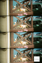画像をギャラリービューアに読み込む, LOMO SUPERSAMPLER スカイブルー【完動品】【実写済み❗️】【ほぼ未使用品】