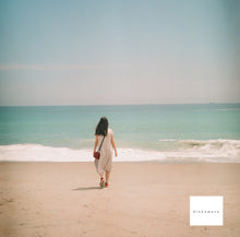 画像をギャラリービューアに読み込む, Minolta AUTOCORD-III ミノルタ オートコードIII型 【完動品】【美品✨】【実写済み❗️】