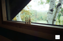 画像をギャラリービューアに読み込む, OLYMPUS 35ED【完動品】【実写済み❗️】【美品✨】